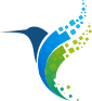 Shape Image
