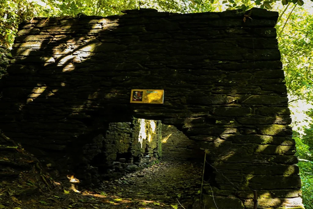 Foto realizada en el municipio de Falan