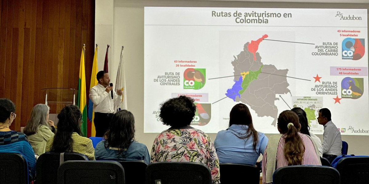 Imagen principal Tolima en el Global Big Day